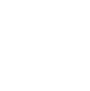 Elnoir لوگو